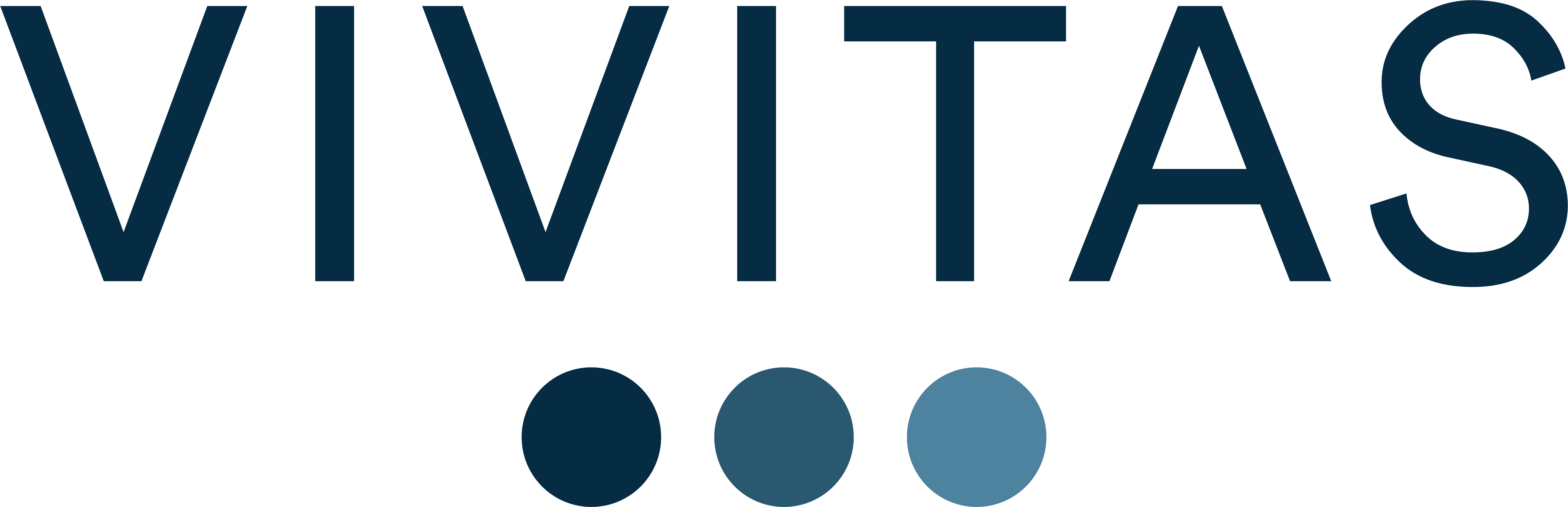 Vivitas-logo